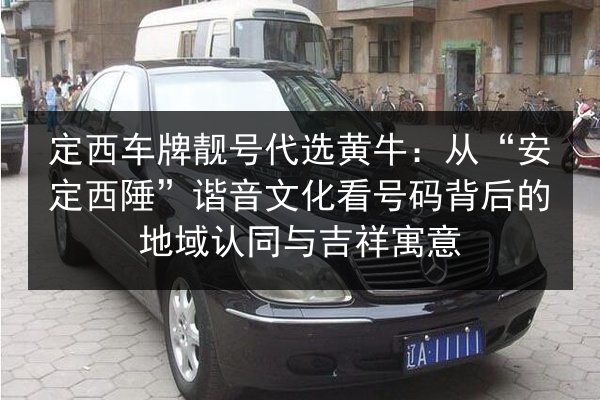 定西车牌靓号代选黄牛：从“安定西陲”谐音文化看号码背后的地域认同与吉祥寓意 第2张