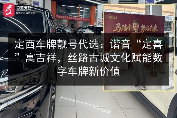 定西车牌靓号代选：谐音“定喜”寓吉祥，丝路古城文化赋能数字车牌新价值 第2张