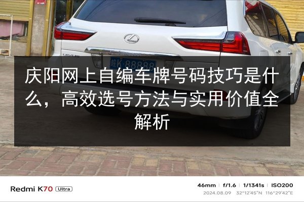 庆阳网上自编车牌号码技巧是什么,高效选号方法与实用价值全解析 第2张 庆阳网上自编车牌号码技巧是什么,高效选号方法与实用价值全解析 第2张
