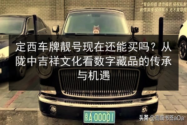 定西车牌靓号现在还能买吗？从陇中吉祥文化看数字藏品的传承与机遇 第2张