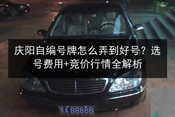 庆阳自编号牌怎么弄到好号？选号费用+竞价行情全解析 第2张