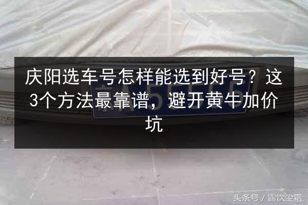 庆阳选车号怎样能选到好号?这3个方法最靠谱,避开黄牛加价坑 第2张 庆阳选车号怎样能选到好号?这3个方法最靠谱,避开黄牛加价坑 第2张