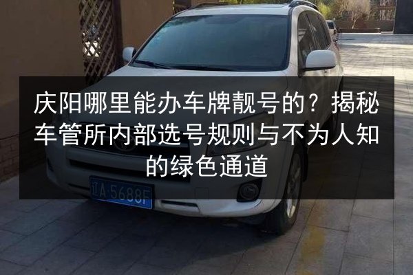 庆阳哪里能办车牌靓号的？揭秘车管所内部选号规则与不为人知的绿色通道 第3张