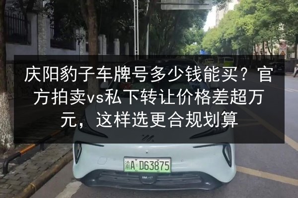 庆阳豹子车牌号多少钱能买?官方拍卖vs私下转让价格差超万元,这样选更合规划算 第2张 庆阳豹子车牌号多少钱能买?官方拍卖vs私下转让价格差超万元,这样选更合规划算 第2张