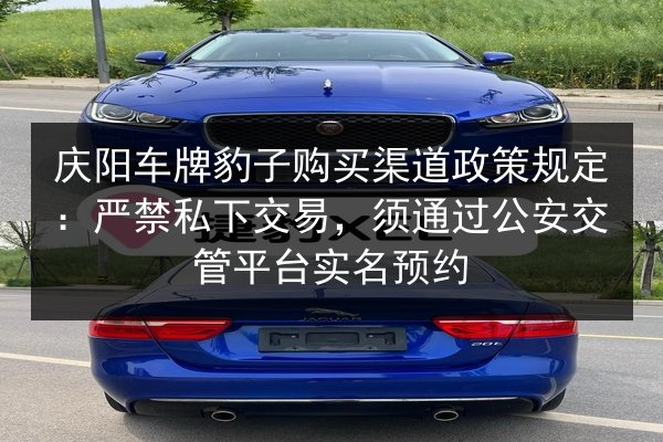 庆阳车牌豹子购买渠道政策规定:严禁私下交易,须通过公安交管平台实名预约 第3张 庆阳车牌豹子购买渠道政策规定:严禁私下交易,须通过公安交管平台实名预约 第3张