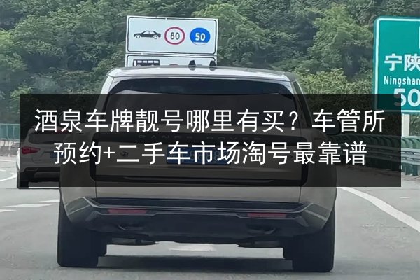 酒泉车牌靓号哪里有买？车管所预约+二手车市场淘号最靠谱 第2张