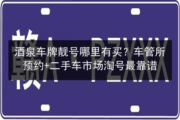 酒泉车牌靓号哪里有买？车管所预约+二手车市场淘号最靠谱 第3张