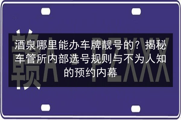 酒泉哪里能办车牌靓号的?揭秘车管所内部选号规则与不为人知的预约内幕 第2张 酒泉哪里能办车牌靓号的?揭秘车管所内部选号规则与不为人知的预约内幕 第2张