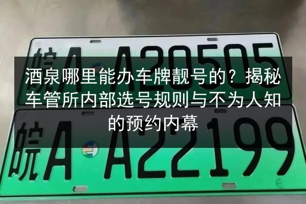 酒泉哪里能办车牌靓号的?揭秘车管所内部选号规则与不为人知的预约内幕 第3张 酒泉哪里能办车牌靓号的?揭秘车管所内部选号规则与不为人知的预约内幕 第3张