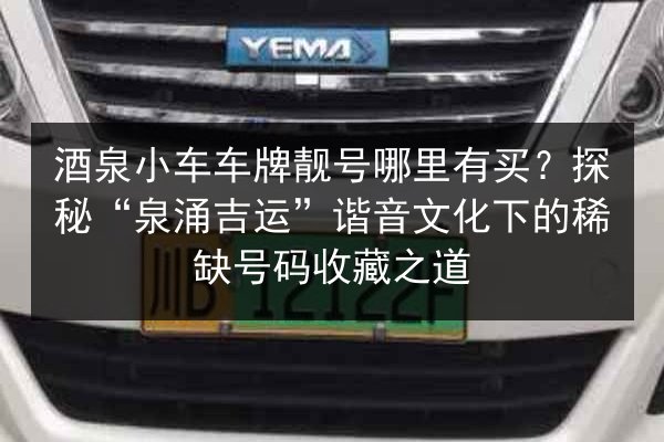 酒泉小车车牌靓号哪里有买？探秘“泉涌吉运”谐音文化下的稀缺号码收藏之道