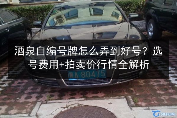 酒泉自编号牌怎么弄到好号？选号费用+拍卖价行情全解析 第3张
