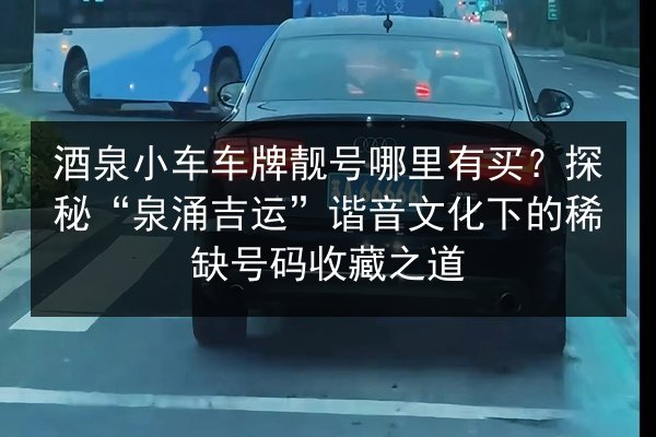 酒泉小车车牌靓号哪里有买?探秘“泉涌吉运”谐音文化下的稀缺号码收藏之道 第2张 酒泉小车车牌靓号哪里有买?探秘“泉涌吉运”谐音文化下的稀缺号码收藏之道 第2张