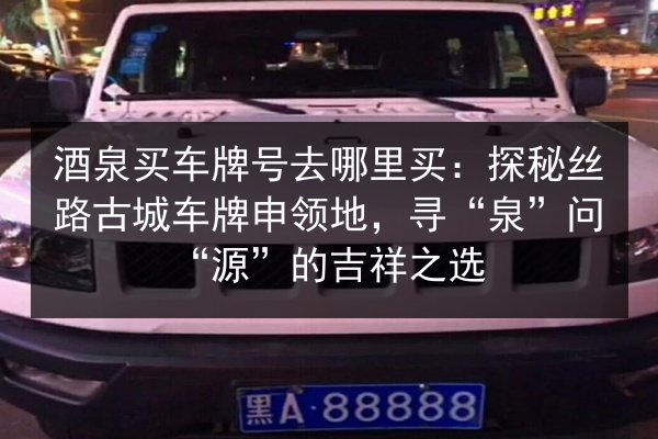 酒泉买车牌号去哪里买：探秘丝路古城车牌申领地，寻“泉”问“源”的吉祥之选 第2张