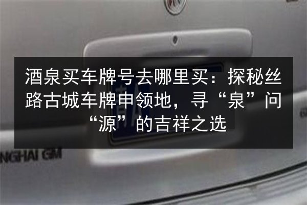 酒泉买车牌号去哪里买：探秘丝路古城车牌申领地，寻“泉”问“源”的吉祥之选 第3张