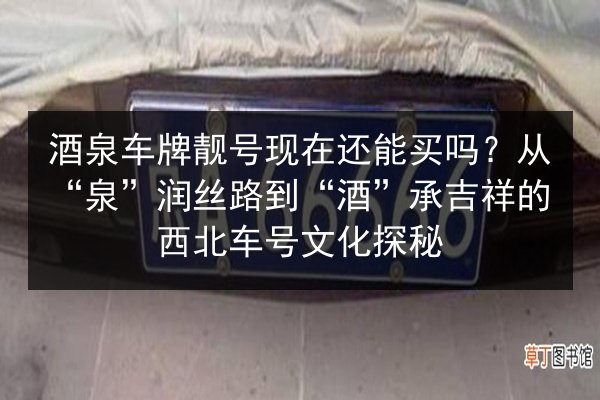 酒泉车牌靓号现在还能买吗？从“泉”润丝路到“酒”承吉祥的西北车号文化探秘 第2张