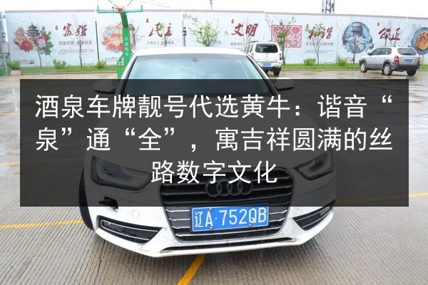 酒泉车牌靓号代选黄牛：谐音“泉”通“全”，寓吉祥圆满的丝路数字文化 第2张