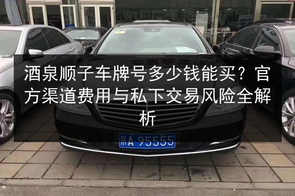 酒泉顺子车牌号多少钱能买?官方渠道费用与私下交易风险全解析 第3张 酒泉顺子车牌号多少钱能买?官方渠道费用与私下交易风险全解析 第3张