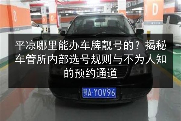 平凉哪里能办车牌靓号的？揭秘车管所内部选号规则与不为人知的预约通道 第2张