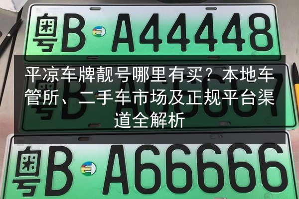 平凉车牌靓号哪里有买？本地车管所、二手车市场及正规平台渠道全解析 第3张