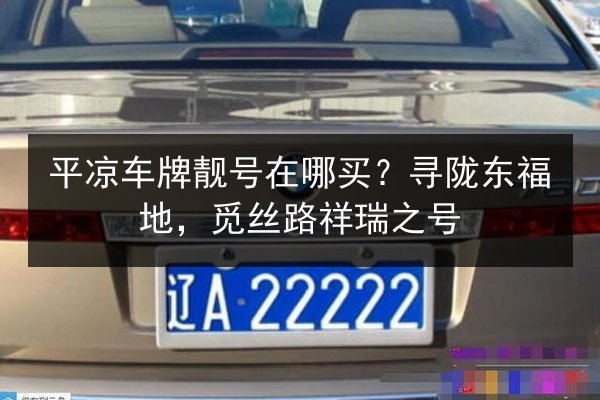 平凉车牌靓号在哪买？寻陇东福地，觅丝路祥瑞之号 第2张