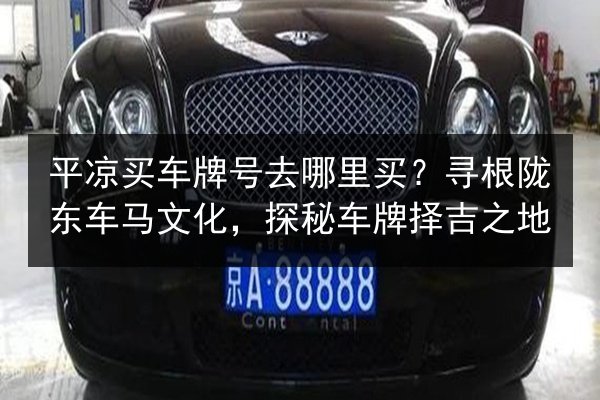 平凉买车牌号去哪里买?寻根陇东车马文化,探秘车牌择吉之地 第2张 平凉买车牌号去哪里买?寻根陇东车马文化,探秘车牌择吉之地 第2张
