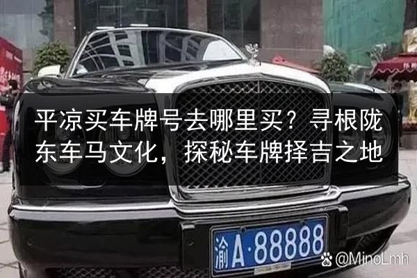 平凉买车牌号去哪里买?寻根陇东车马文化,探秘车牌择吉之地 第3张 平凉买车牌号去哪里买?寻根陇东车马文化,探秘车牌择吉之地 第3张