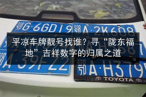 平凉车牌靓号找谁?寻“陇东福地”吉祥数字的归属之道 第3张 平凉车牌靓号找谁?寻“陇东福地”吉祥数字的归属之道 第3张