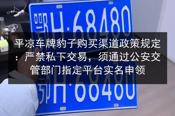 平凉车牌豹子购买渠道政策规定:严禁私下交易,须通过公安交管部门指定平台实名申领 第2张 平凉车牌豹子购买渠道政策规定:严禁私下交易,须通过公安交管部门指定平台实名申领 第2张