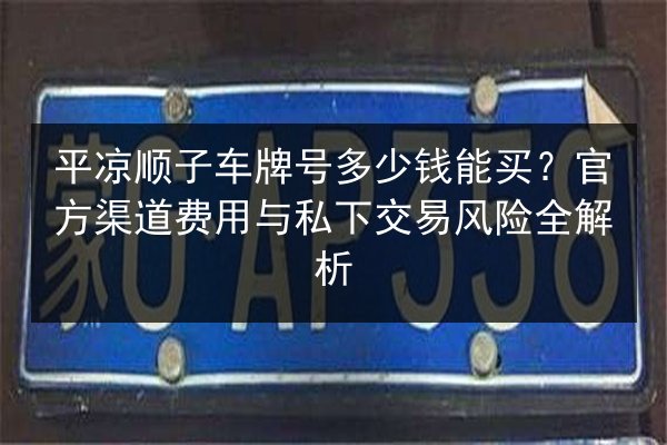 平凉顺子车牌号多少钱能买？官方渠道费用与私下交易风险全解析 第2张