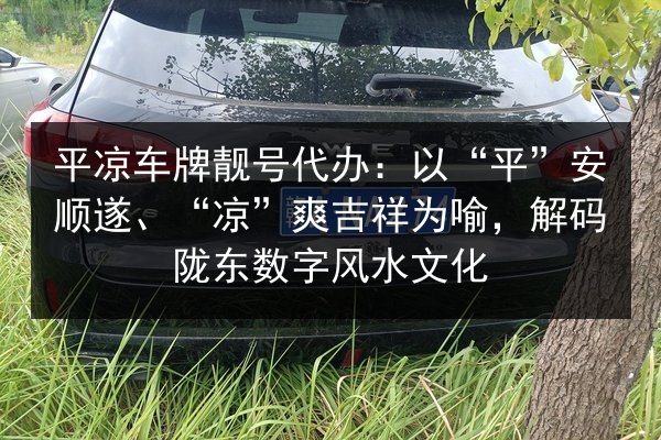 平凉车牌靓号代办：以“平”安顺遂、“凉”爽吉祥为喻，解码陇东数字风水文化 第2张