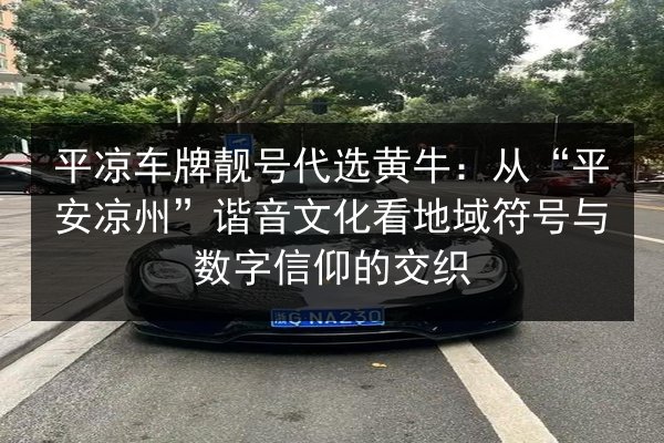 平凉车牌靓号代选黄牛:从“平安凉州”谐音文化看地域符号与数字信仰的交织 第2张 平凉车牌靓号代选黄牛:从“平安凉州”谐音文化看地域符号与数字信仰的交织 第2张
