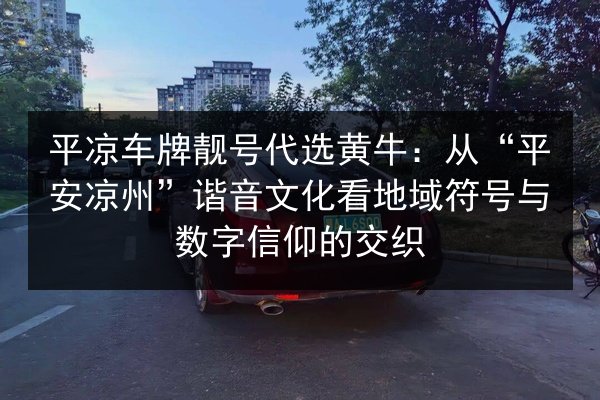 平凉车牌靓号代选黄牛:从“平安凉州”谐音文化看地域符号与数字信仰的交织 第3张 平凉车牌靓号代选黄牛:从“平安凉州”谐音文化看地域符号与数字信仰的交织 第3张
