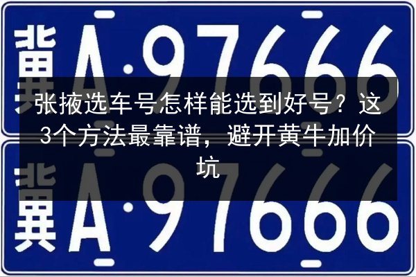 张掖选车号怎样能选到好号?这3个方法最靠谱,避开黄牛加价坑 第2张 张掖选车号怎样能选到好号?这3个方法最靠谱,避开黄牛加价坑 第2张