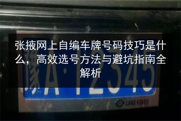 张掖网上自编车牌号码技巧是什么，高效选号方法与避坑指南全解析 第3张