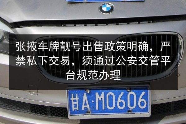 张掖车牌靓号出售政策明确,严禁私下交易,须通过公安交管平台规范办理 第2张 张掖车牌靓号出售政策明确,严禁私下交易,须通过公安交管平台规范办理 第2张