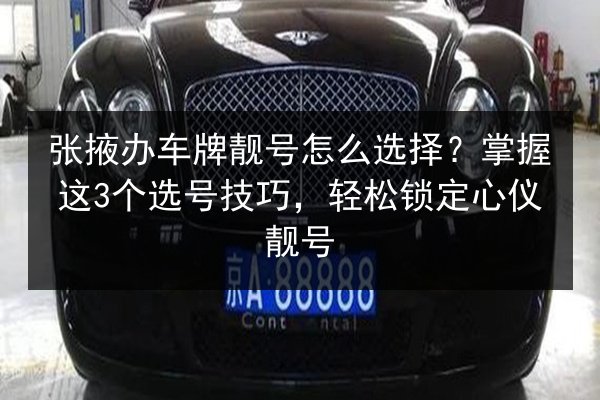 张掖办车牌靓号怎么选择？掌握这3个选号技巧，轻松锁定心仪靓号