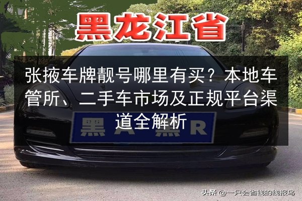 张掖车牌靓号哪里有买？本地车管所、二手车市场及正规平台渠道全解析 第2张