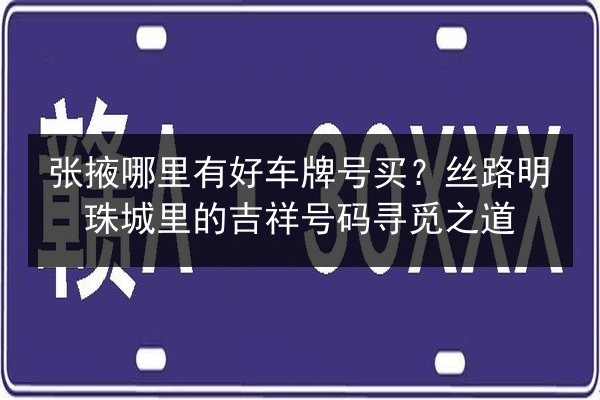 张掖哪里有好车牌号买？丝路明珠城里的吉祥号码寻觅之道 第2张