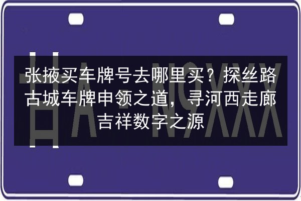 张掖买车牌号去哪里买？探丝路古城车牌申领之道，寻河西走廊吉祥数字之源 第2张
