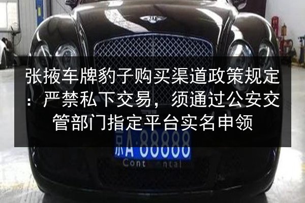 张掖车牌豹子购买渠道政策规定：严禁私下交易，须通过公安交管部门指定平台实名申领 第1张