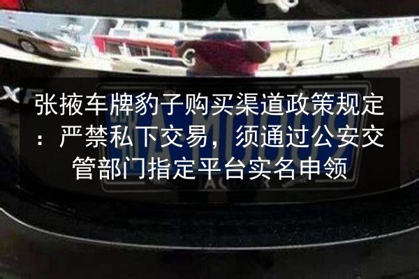 张掖车牌豹子购买渠道政策规定：严禁私下交易，须通过公安交管部门指定平台实名申领 第2张