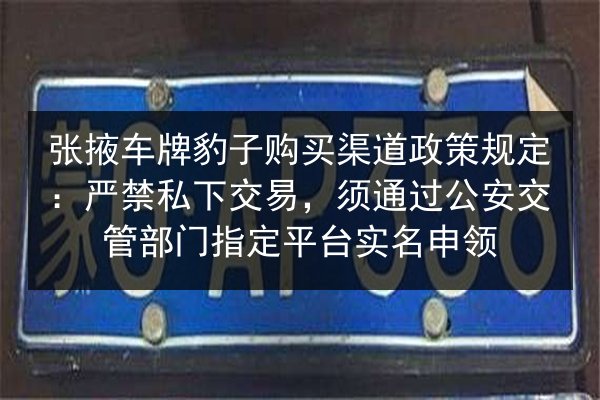 张掖车牌豹子购买渠道政策规定：严禁私下交易，须通过公安交管部门指定平台实名申领 第3张