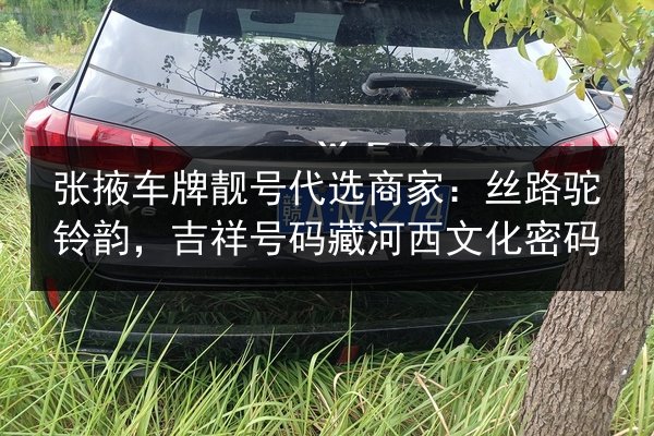 张掖车牌靓号代选商家：丝路驼铃韵，吉祥号码藏河西文化密码 第2张