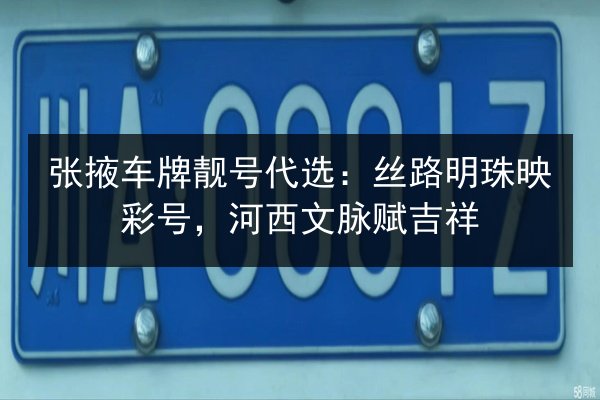张掖车牌靓号代选：丝路明珠映彩号，河西文脉赋吉祥 第2张