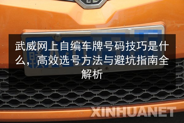武威网上自编车牌号码技巧是什么，高效选号方法与避坑指南全解析 第2张