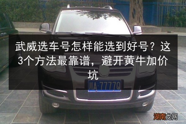 武威选车号怎样能选到好号?这3个方法最靠谱,避开黄牛加价坑 第2张 武威选车号怎样能选到好号?这3个方法最靠谱,避开黄牛加价坑 第2张