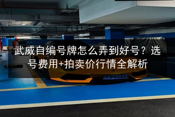 武威自编号牌怎么弄到好号？选号费用+拍卖价行情全解析 第2张