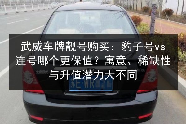 武威车牌靓号购买:豹子号vs连号哪个更保值?寓意、稀缺性与升值潜力大不同 第2张 武威车牌靓号购买:豹子号vs连号哪个更保值?寓意、稀缺性与升值潜力大不同 第2张