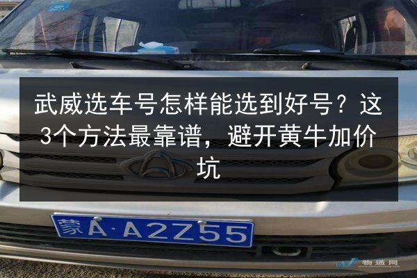 武威选车号怎样能选到好号?这3个方法最靠谱,避开黄牛加价坑 第3张 武威选车号怎样能选到好号?这3个方法最靠谱,避开黄牛加价坑 第3张