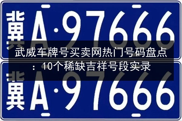 武威车牌号买卖网热门号码盘点:10个稀缺吉祥号段实录 第2张 武威车牌号买卖网热门号码盘点:10个稀缺吉祥号段实录 第2张